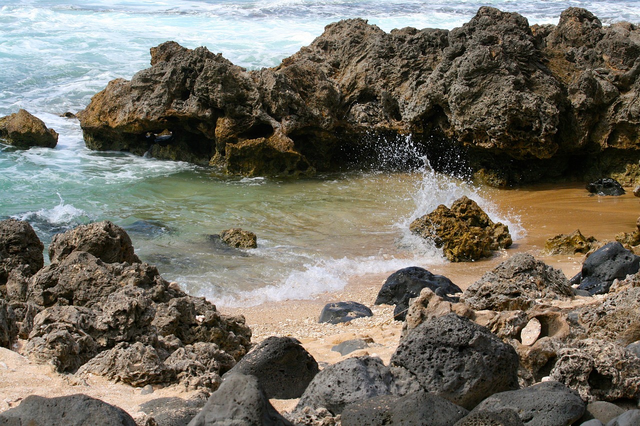 tide pool shallow free photo