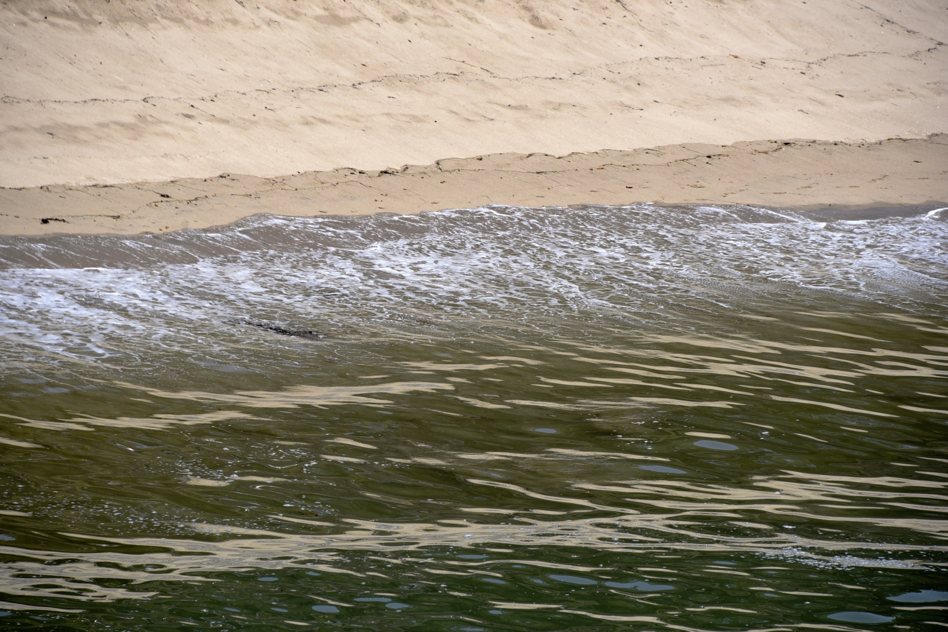 ocean background surf free photo