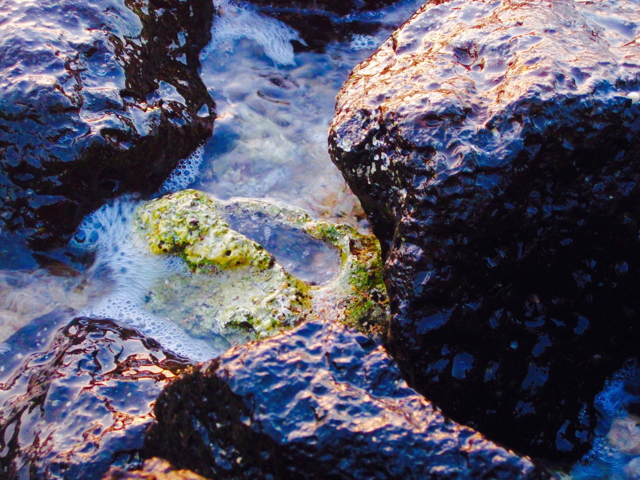 tide pool shore ocean free photo