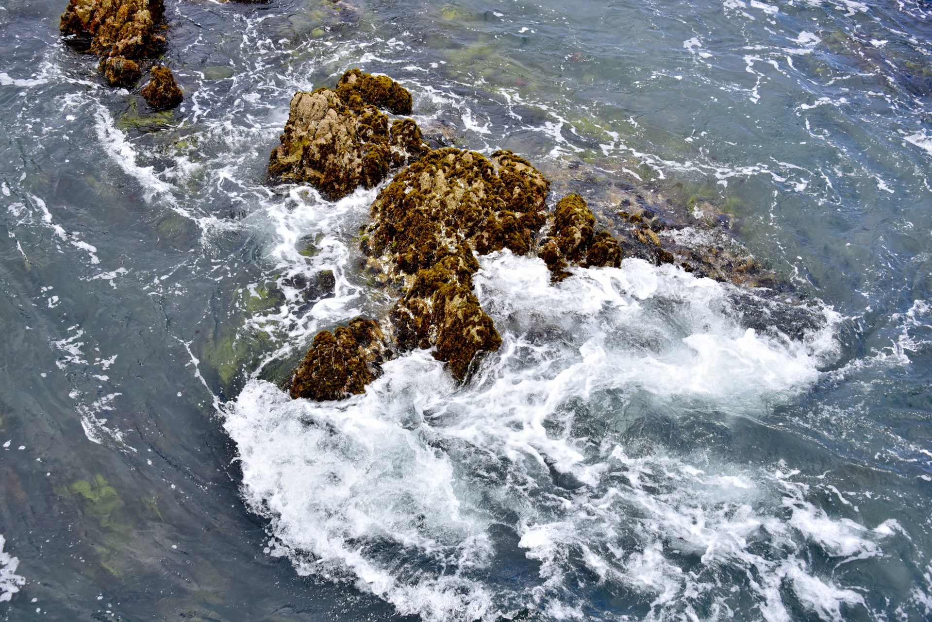 ocean tide pool free photo