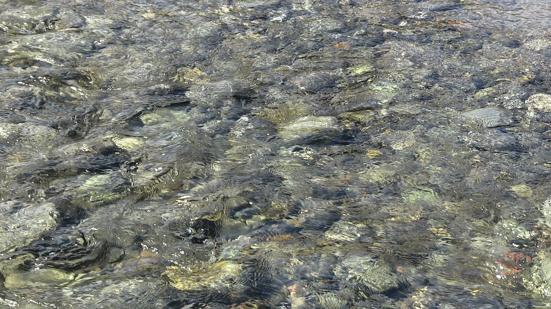 tide pool ocean surf free photo