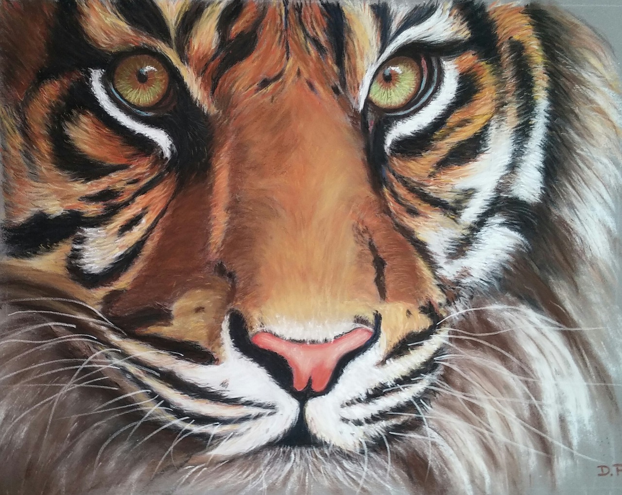 tiger pastel dry free photo