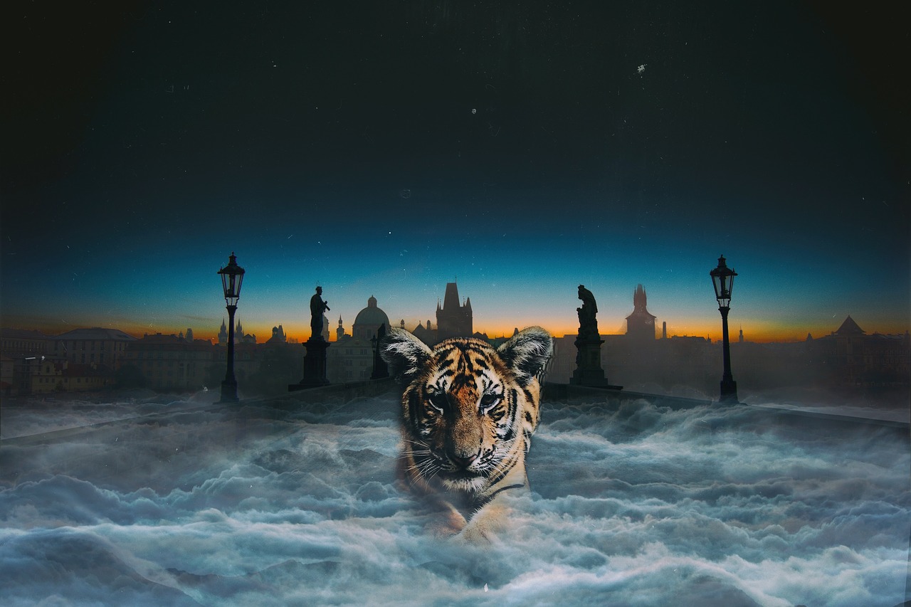 tiger thriller night free photo
