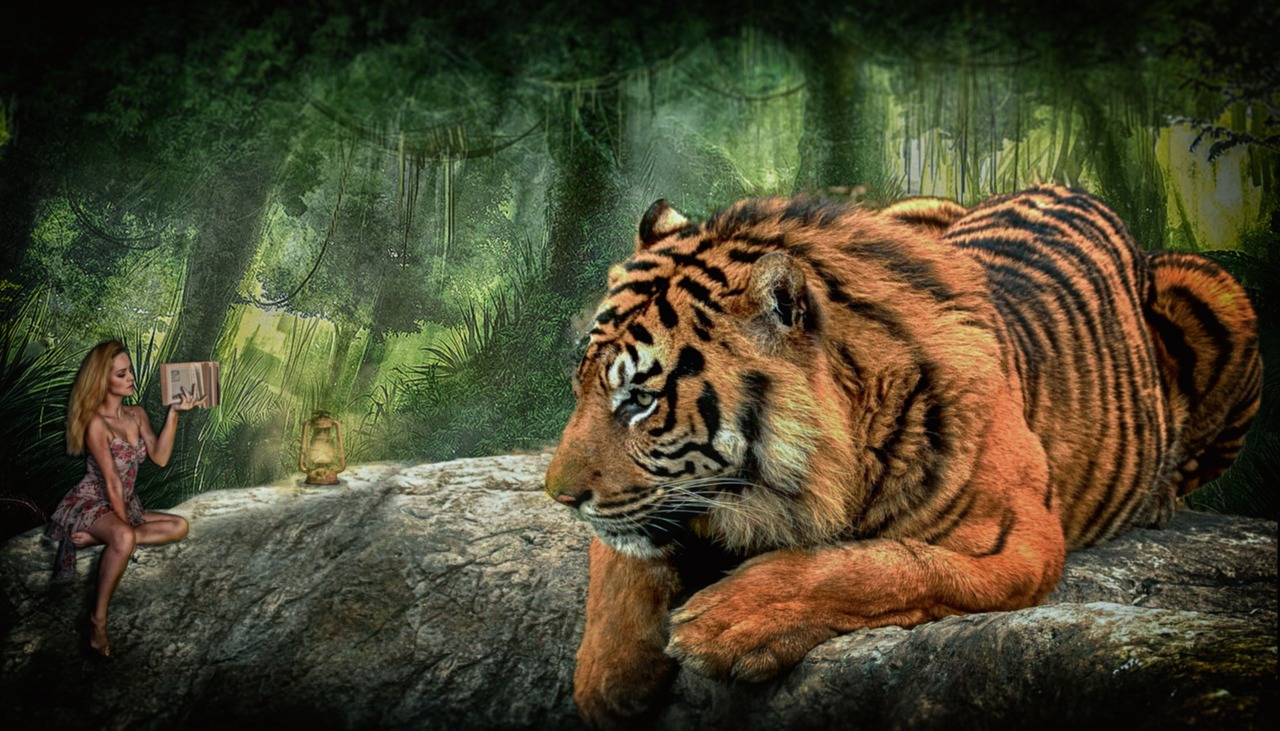 tiger woman forest free photo