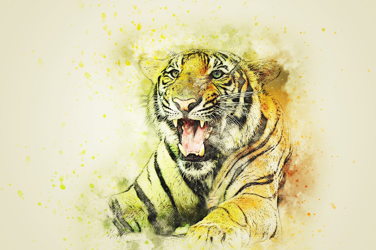 tiger animal art free photo