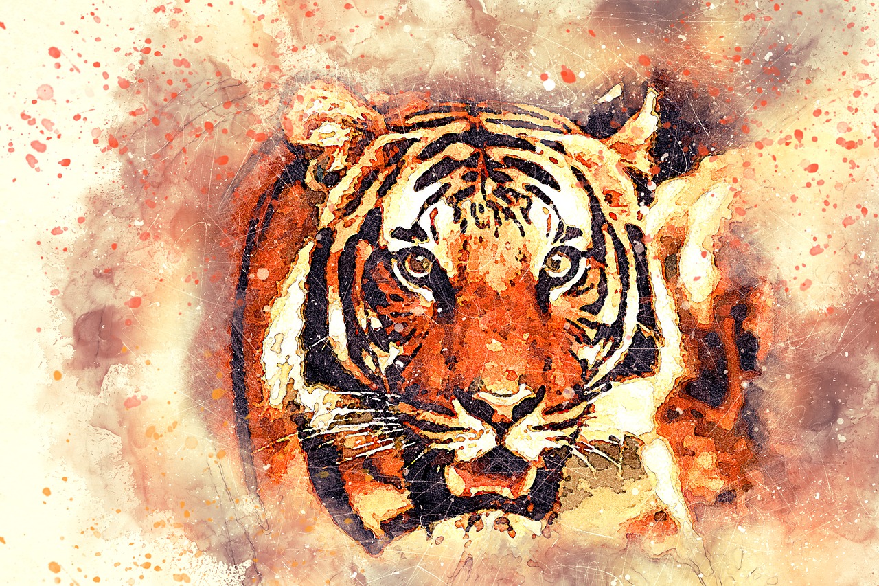 tiger portrait art free photo