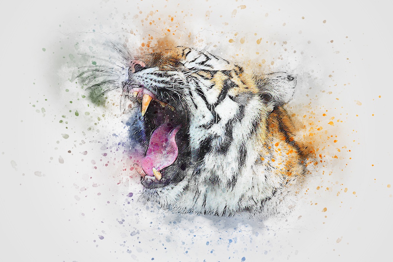 tiger roar animal free photo