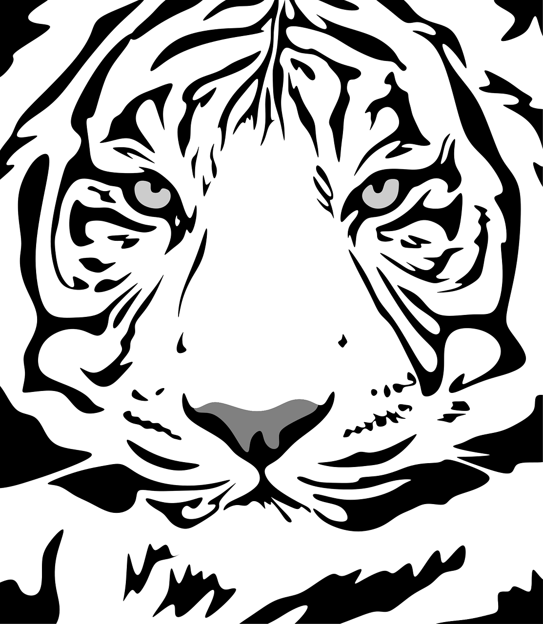 tiger pattern animal free photo