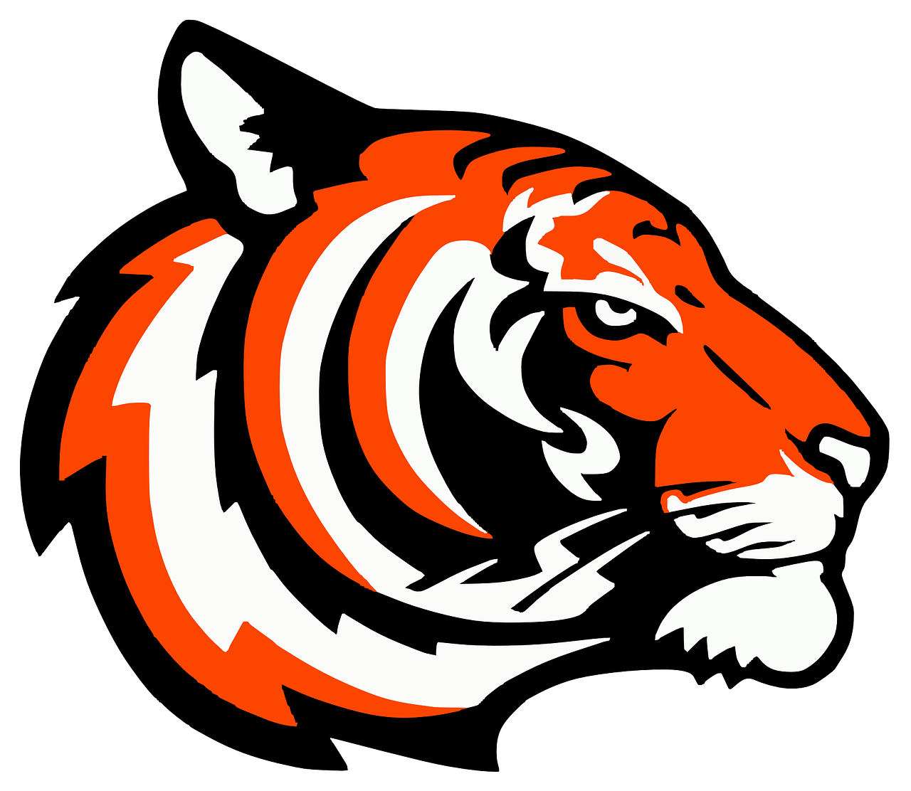 tiger head logo free photo