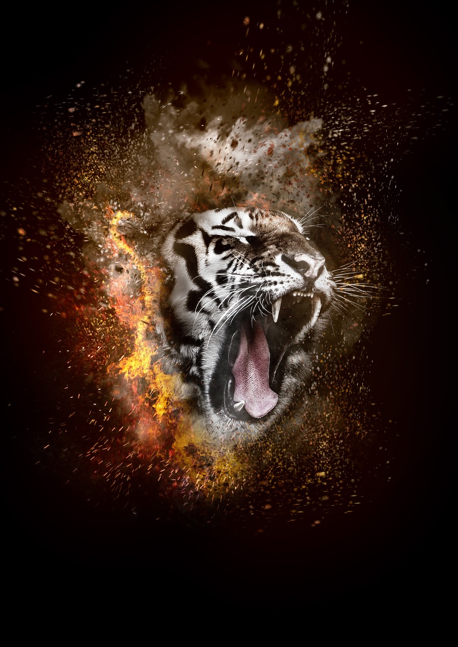 tiger fire smoke free photo