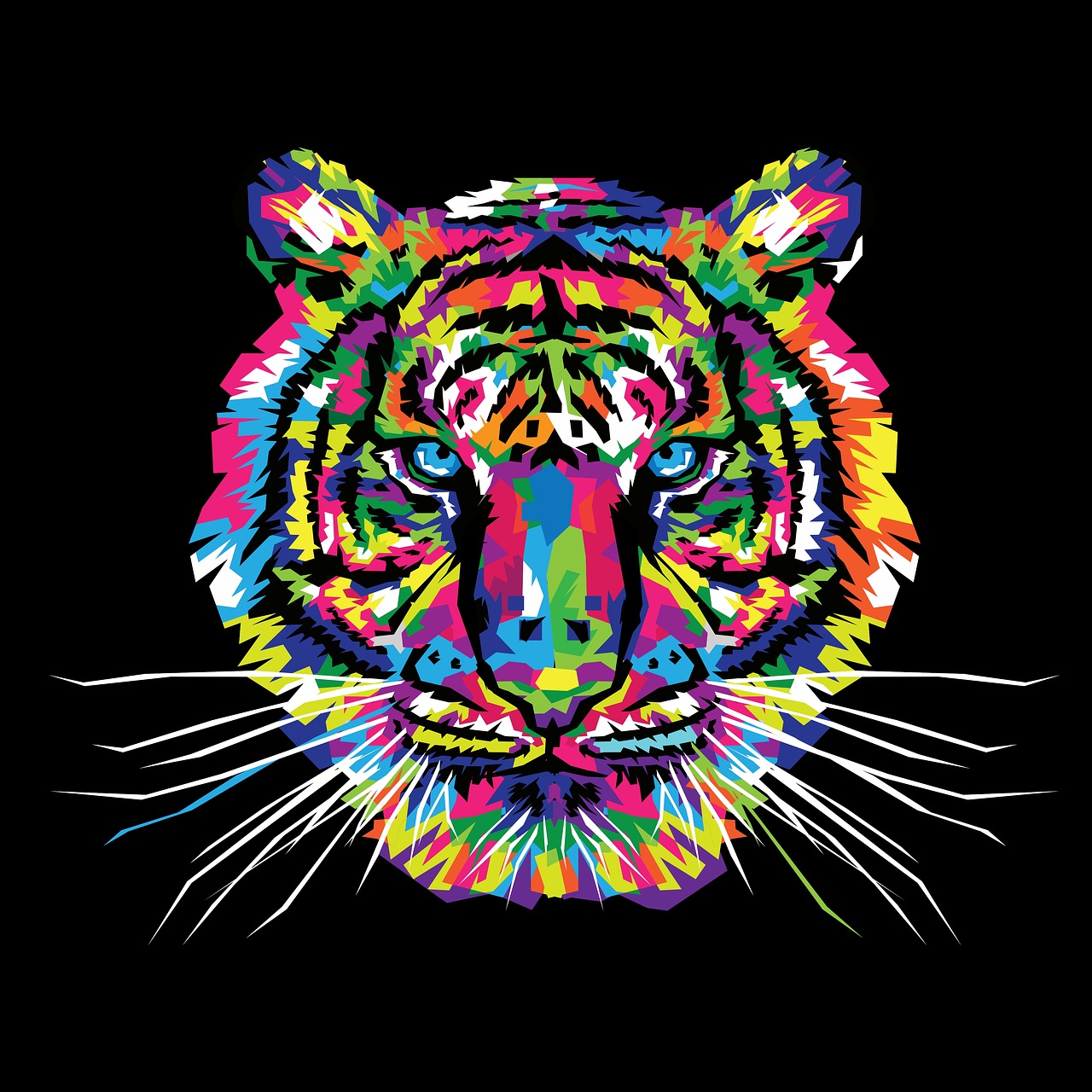 tiger  tiger design  animal free photo