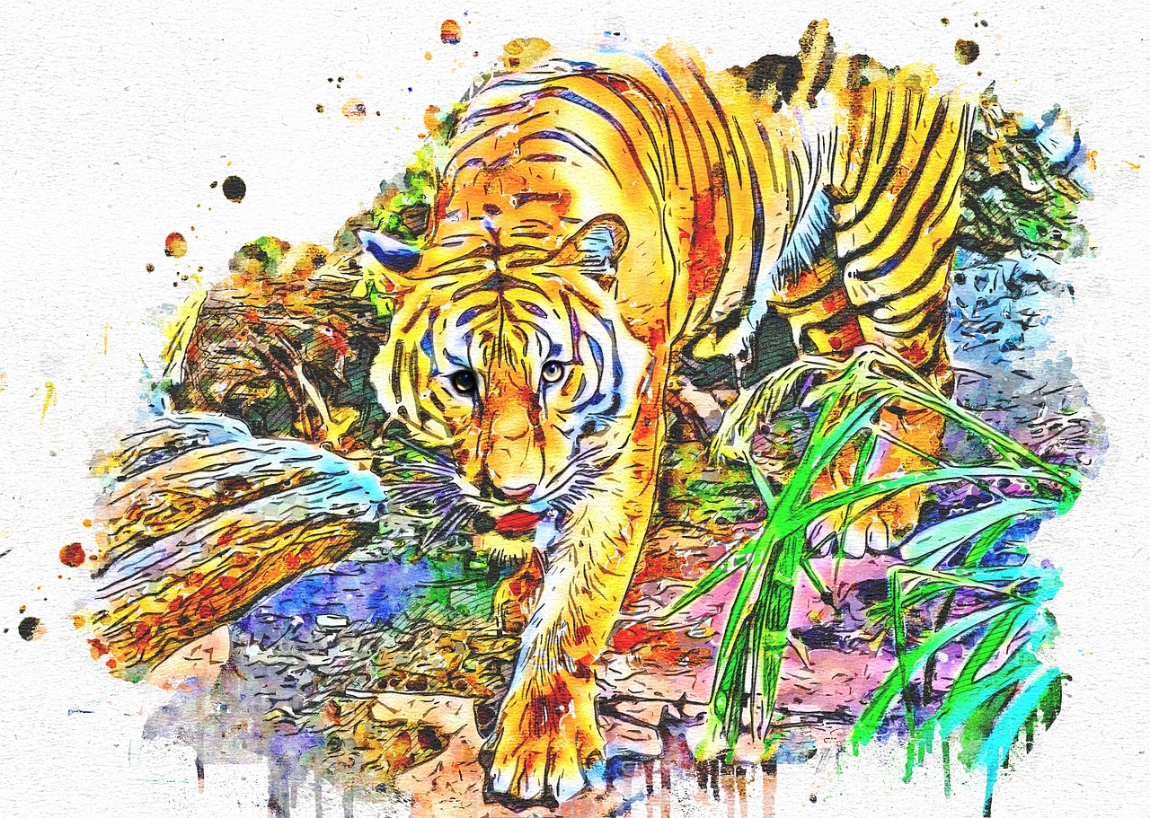 tiger  walking  wild free photo