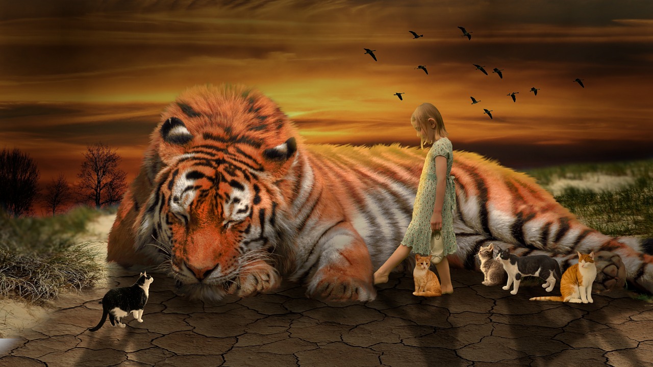 tiger  girl  fantasy free photo