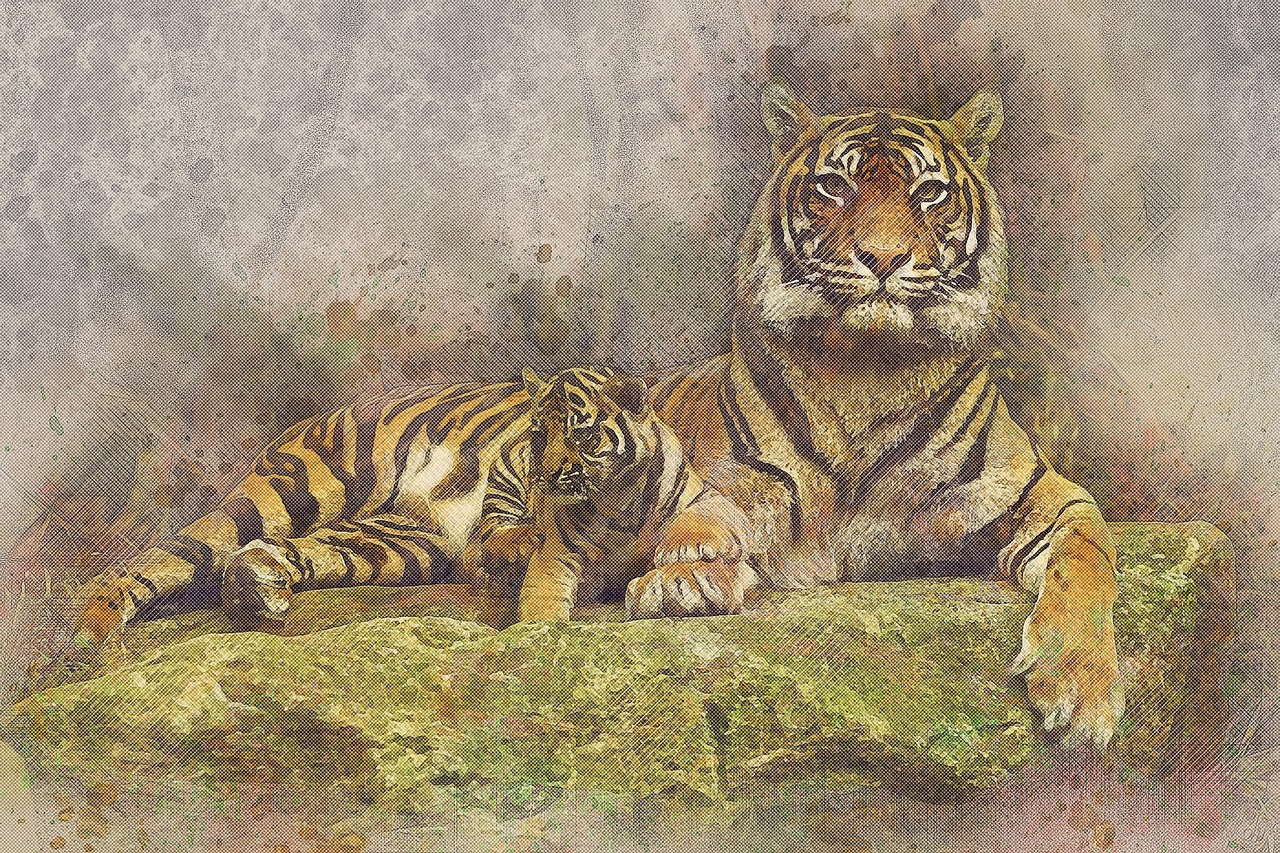 tiger  cat  cub free photo