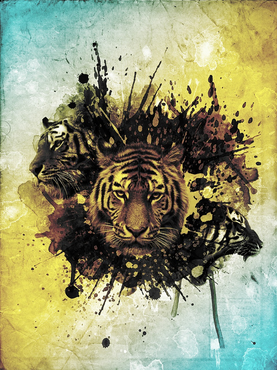 tiger abstract photoshop free photo
