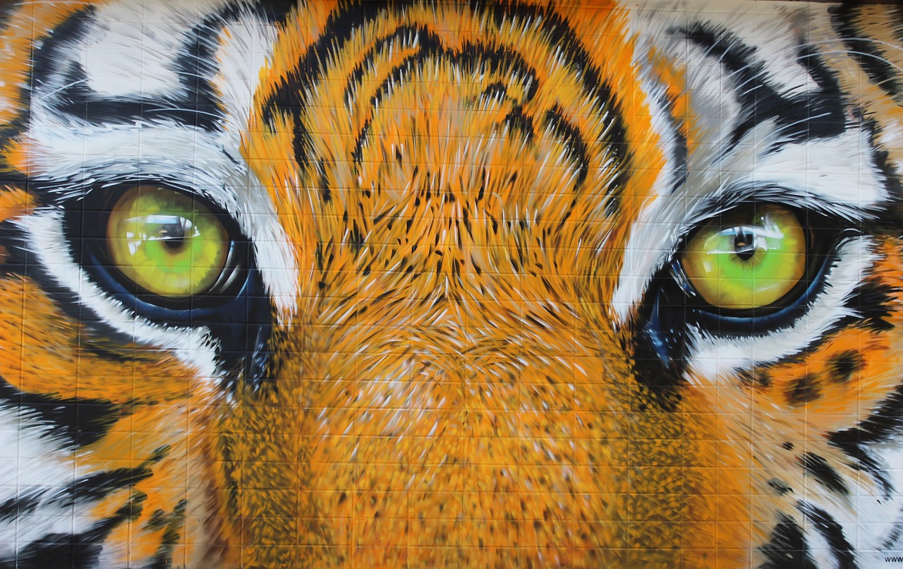 tiger eyes predator free photo