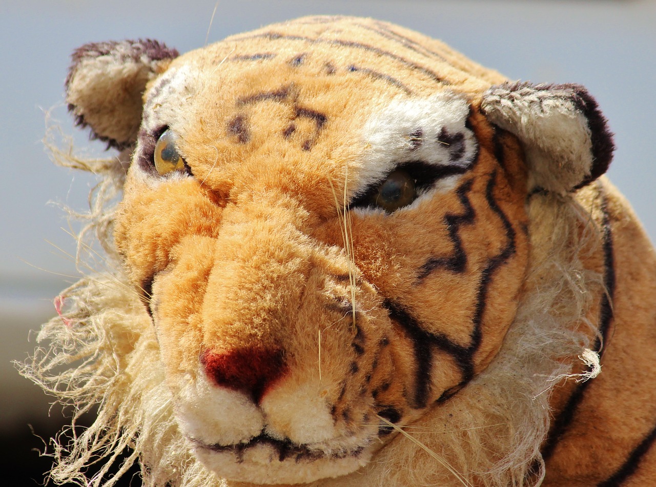 tiger stuffed animal old free photo