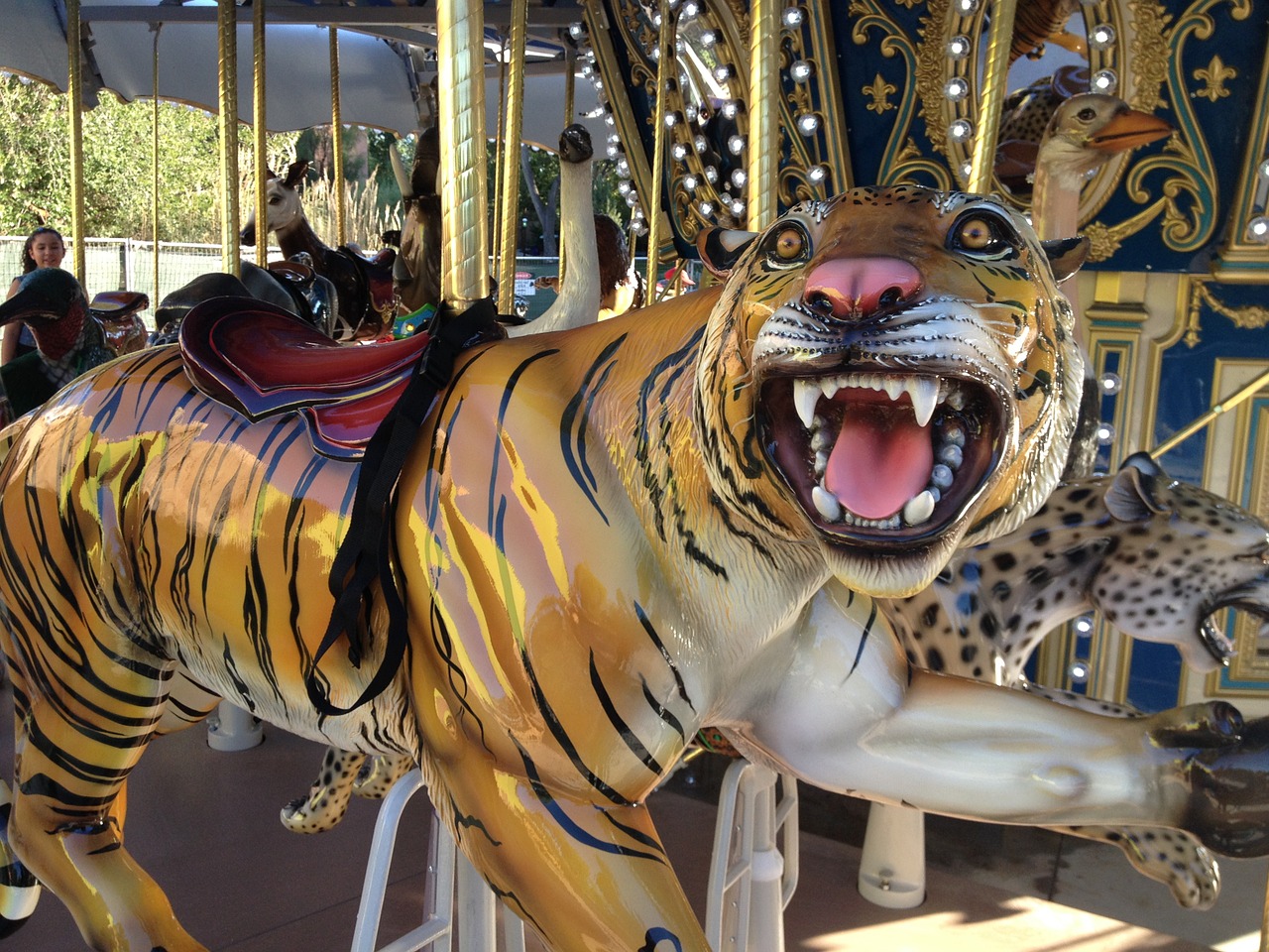 tiger carousel carnival free photo