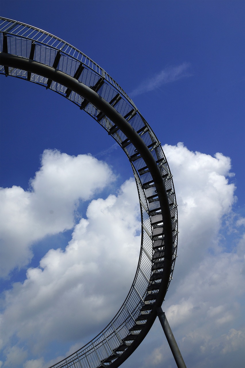 tiger and turtle duisburg artwork free photo