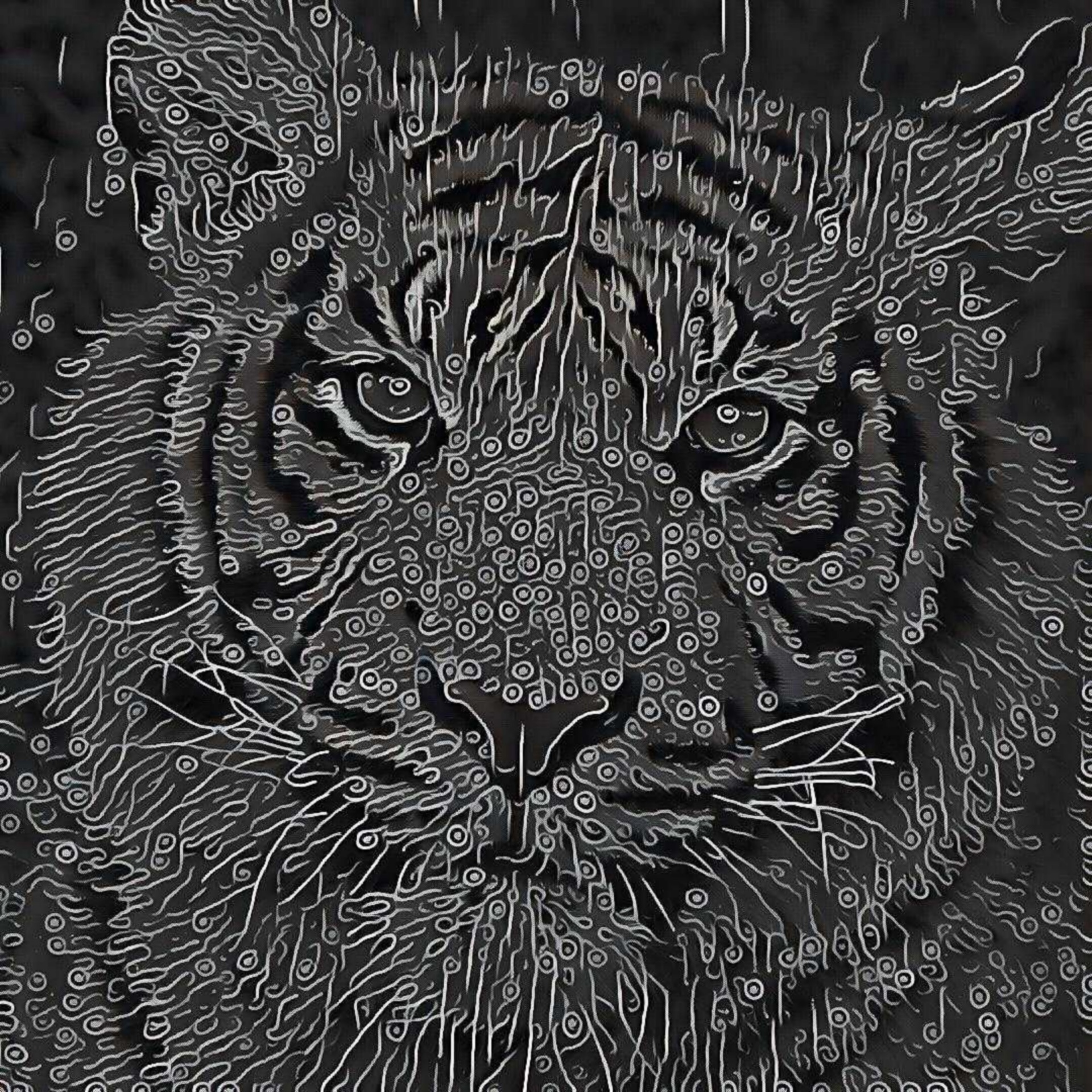drawing pencil tiger free photo