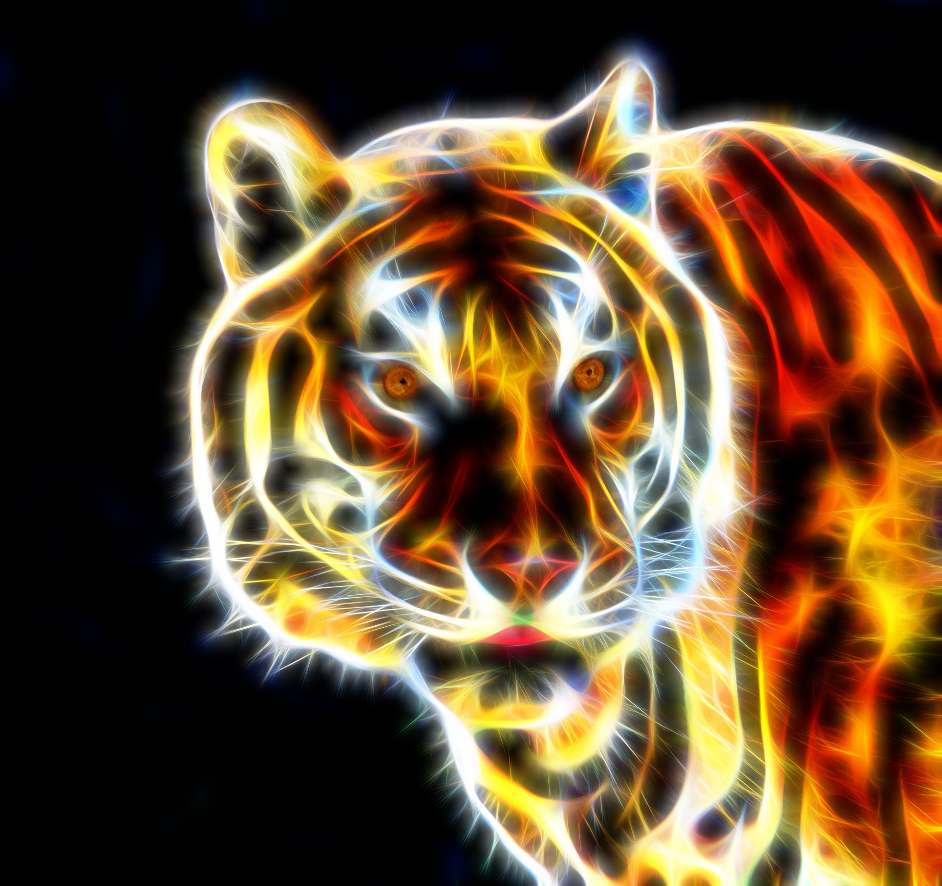 tiger fractal wire flame wire flames fractal wires free photo