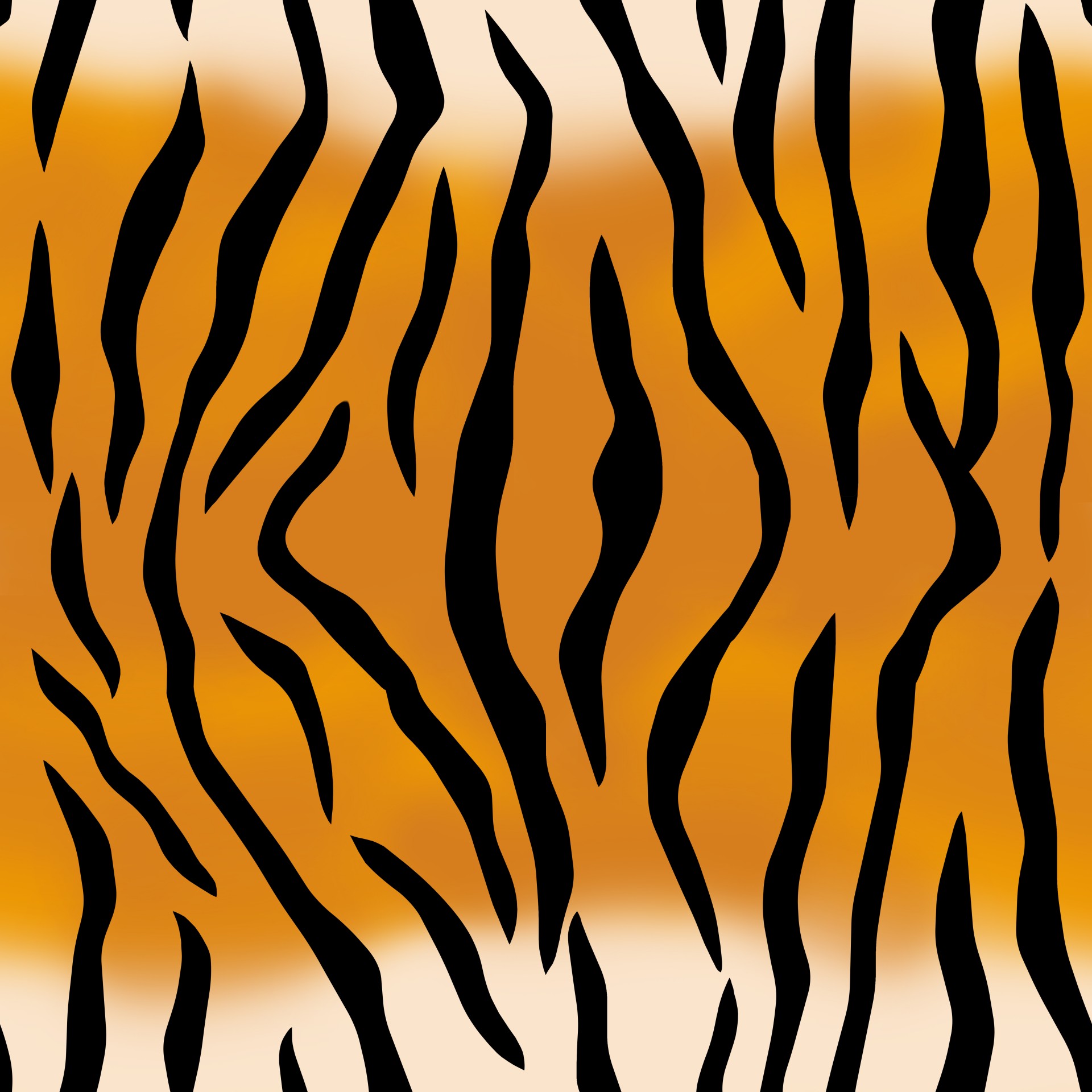 tiger tiger stripe pattern free photo