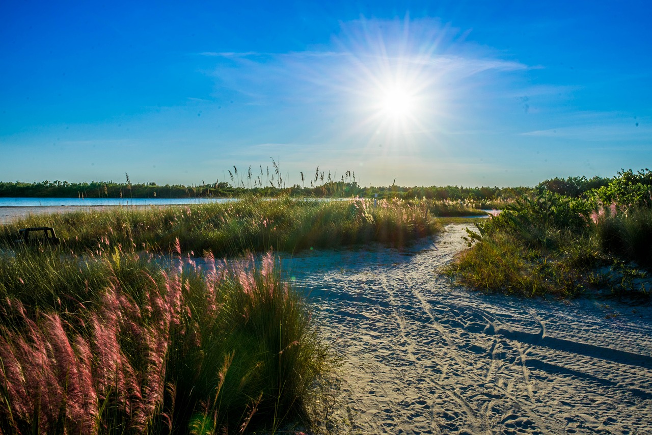 tigertail beach marco island sunstar free photo