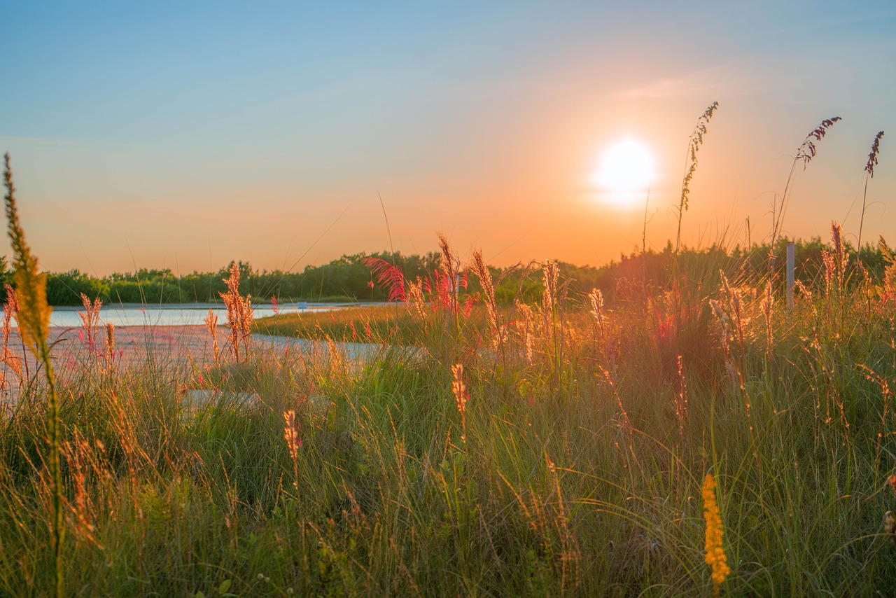 tigertail beach marco island landscape free photo