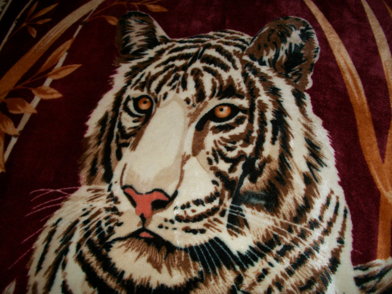 tiger tissue image free photo