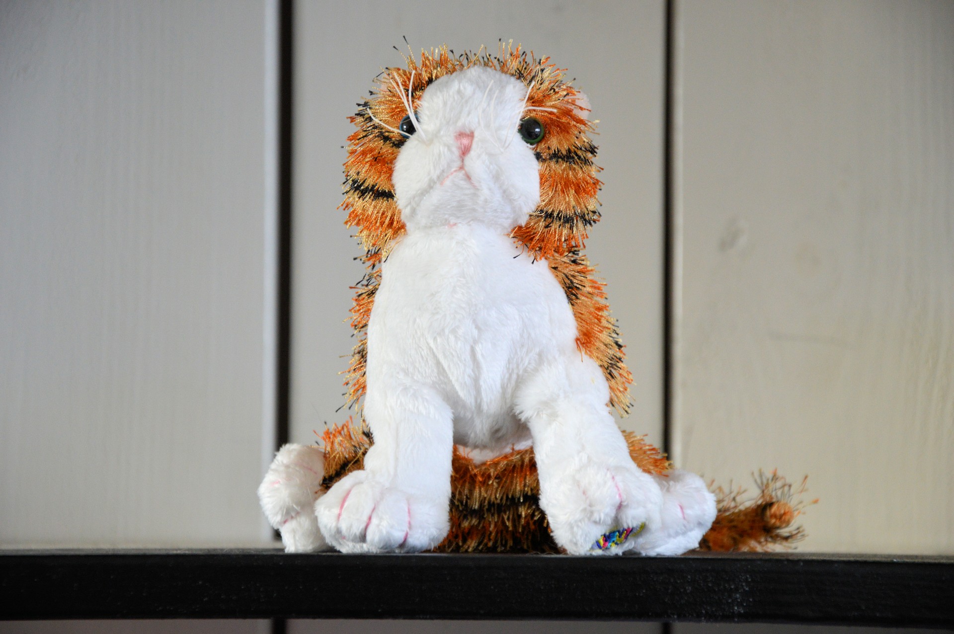 tiger toys kids free photo