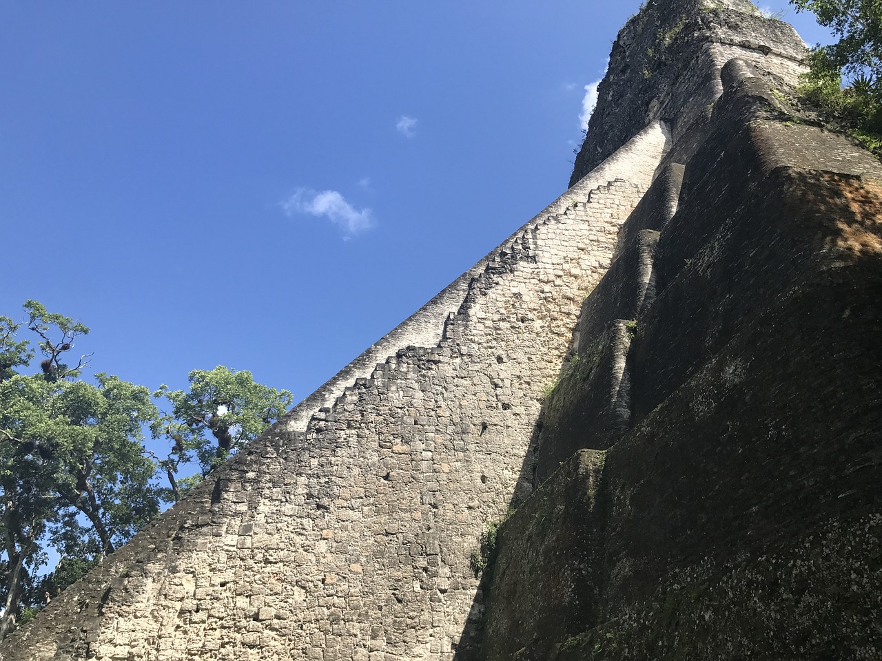 tikal mayan ruins free photo