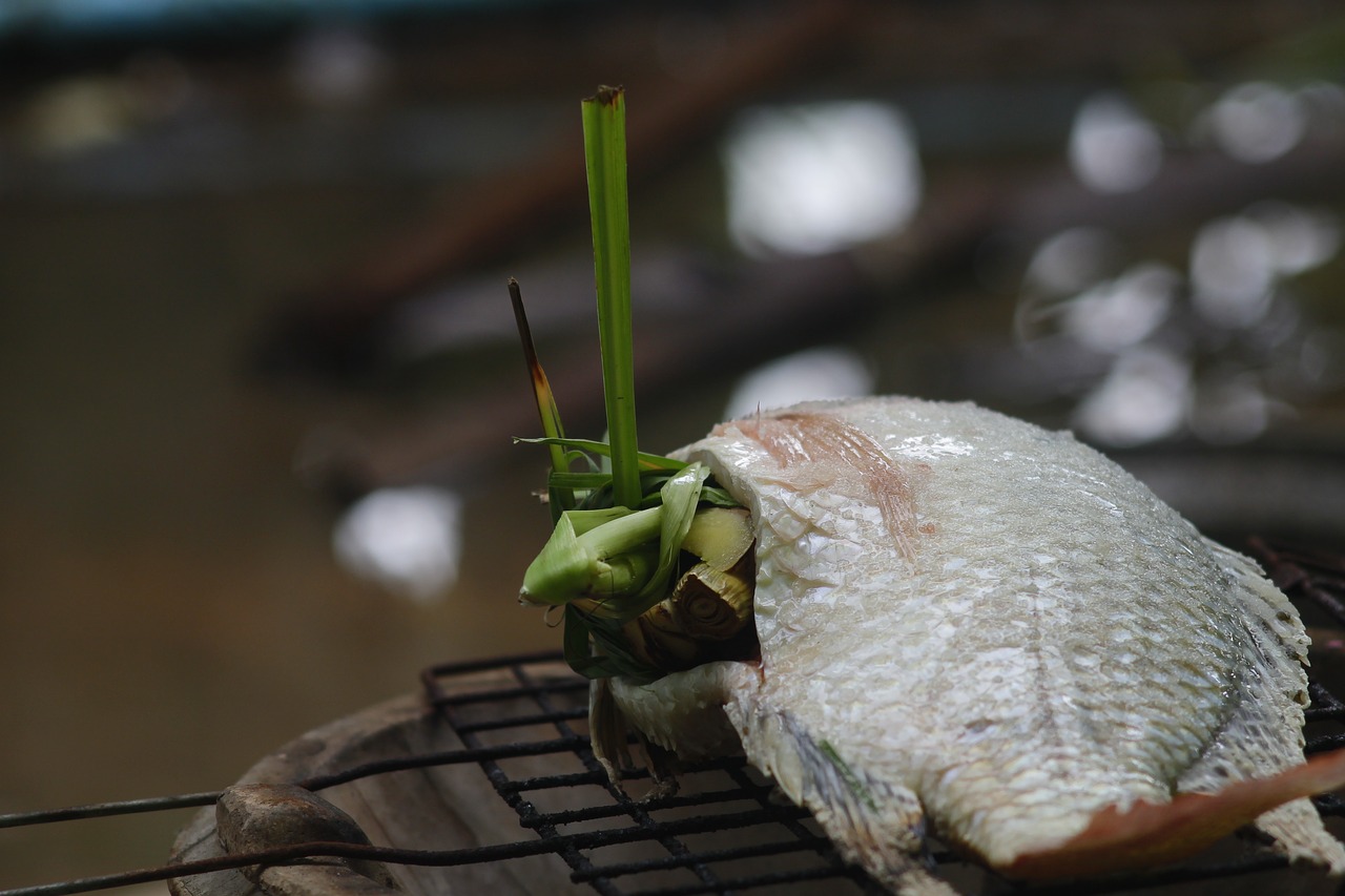 tilapia grilled fish food free photo