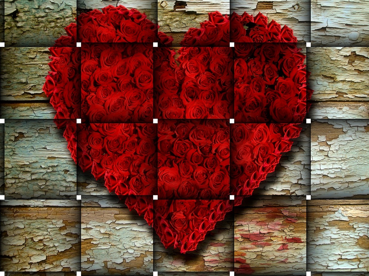 tile roses background free photo