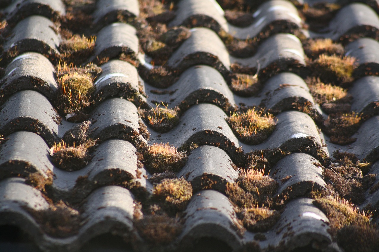 tile roof roofing free photo