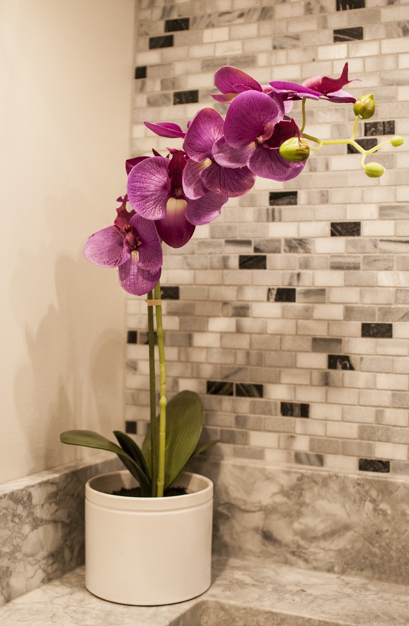 tile mosaics orchid free photo