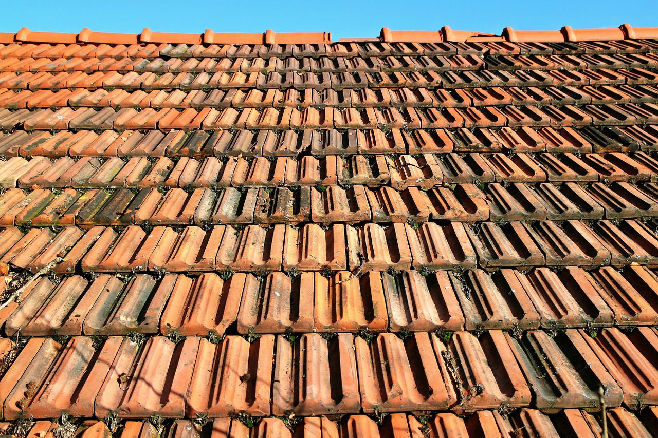 tile roof red free photo