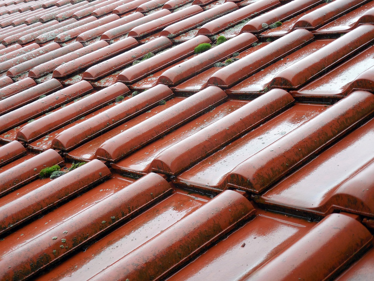 tile roof roofing free photo