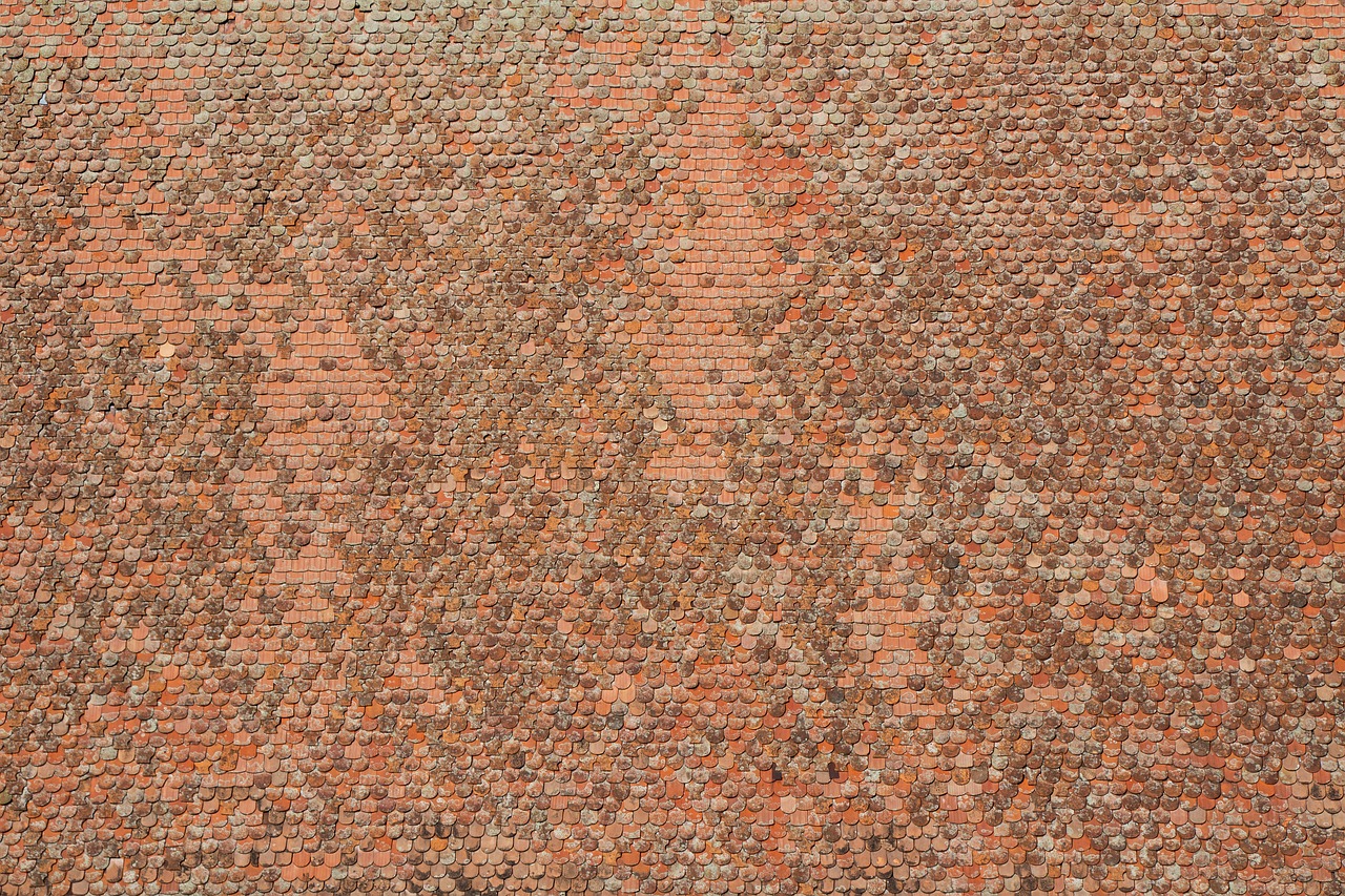 tiled roof  tile  roof free photo