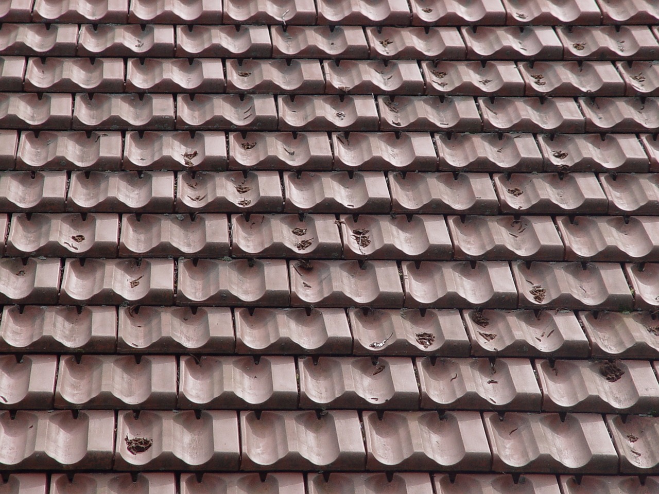 tiled roof roof tile wallpaper free photo