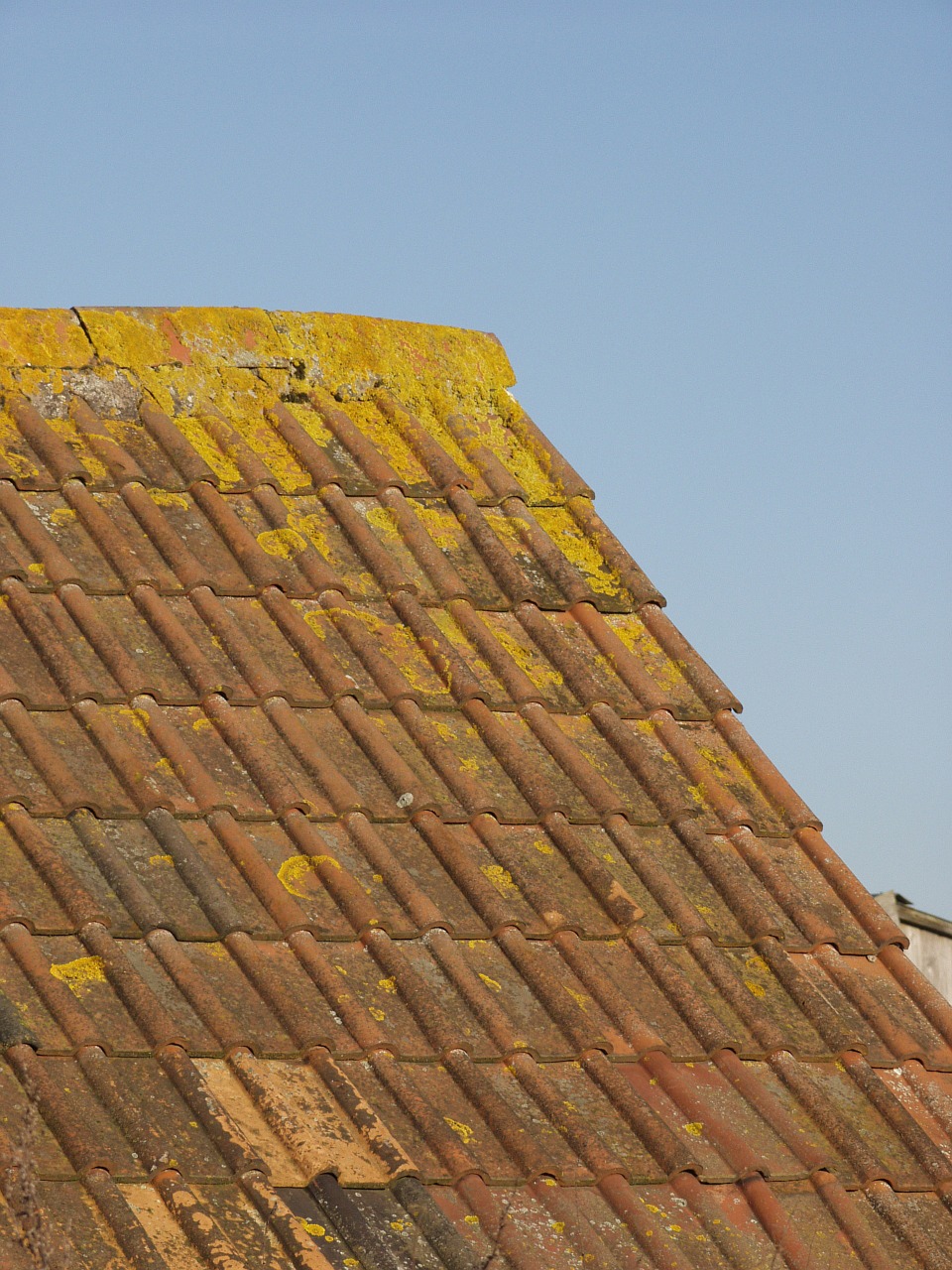 tiles roof architecture free photo