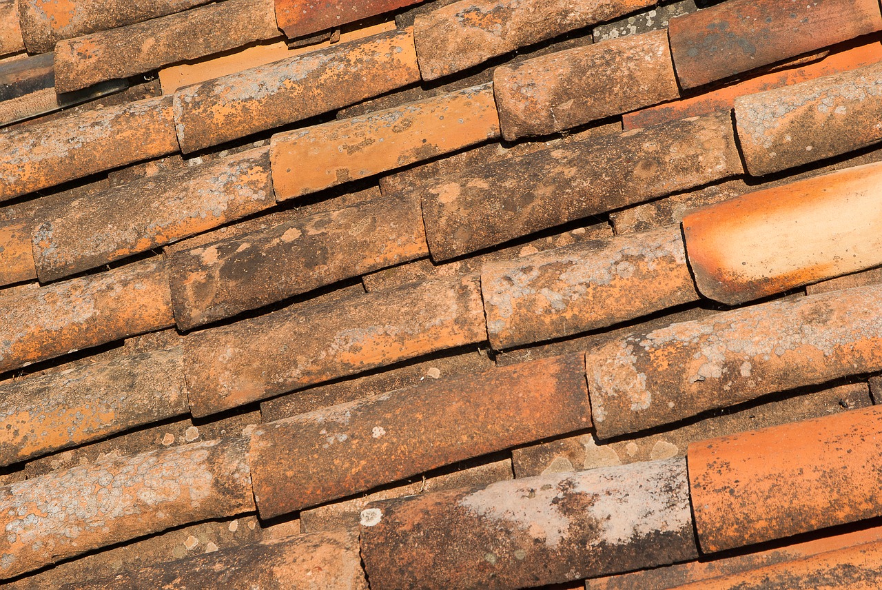 tiles roofing terracotta free photo