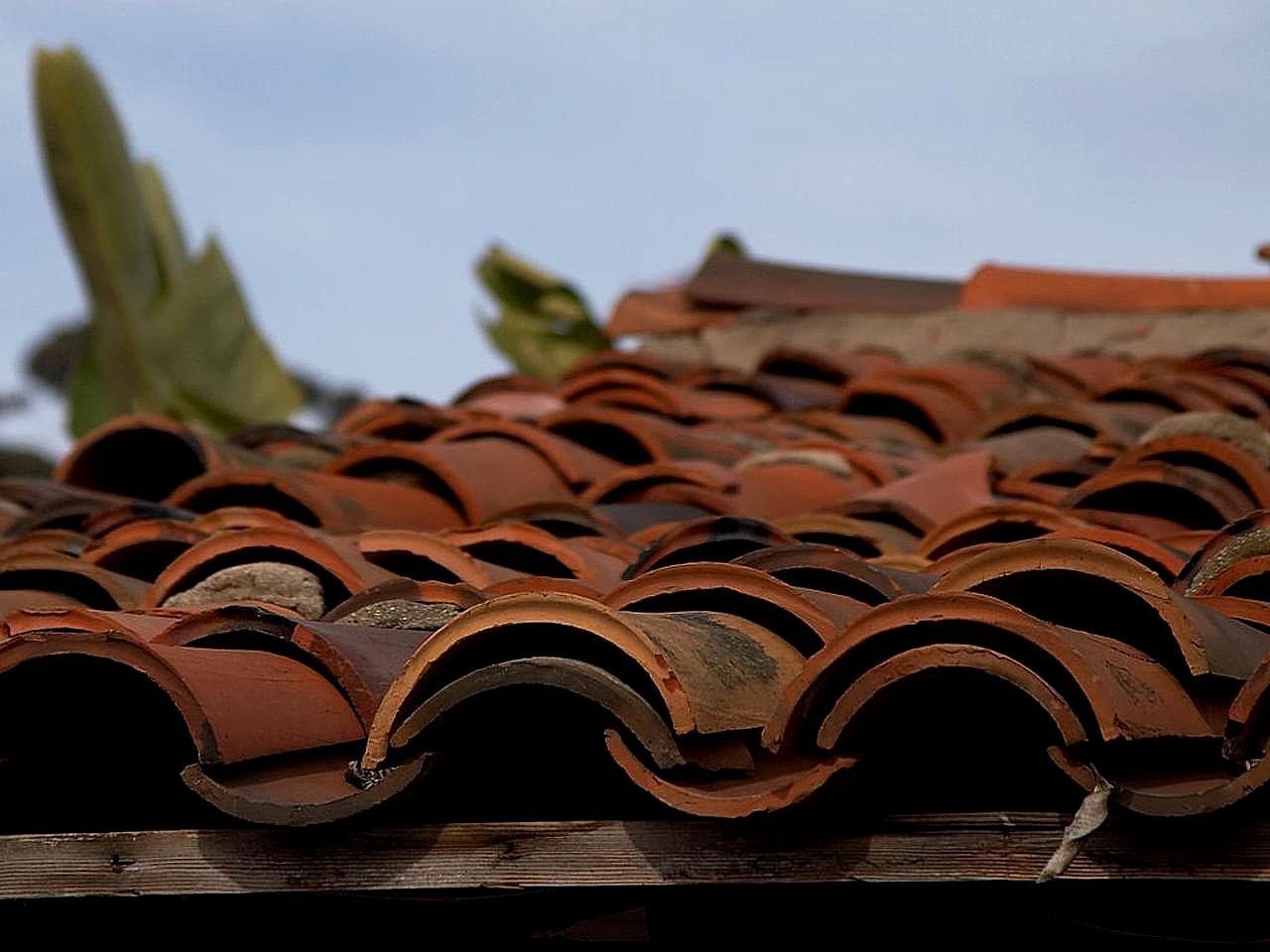 tiles roofing clay free photo