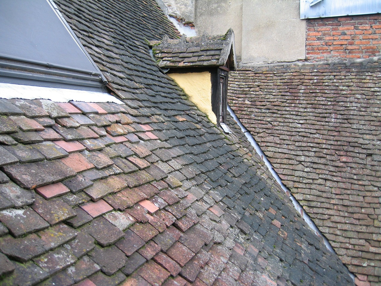 tiles roof former free photo