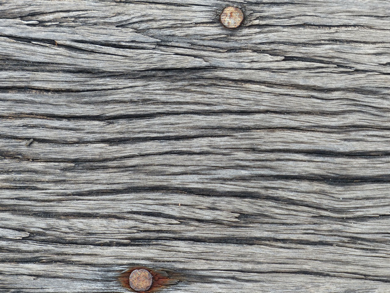 timber wood texture free photo