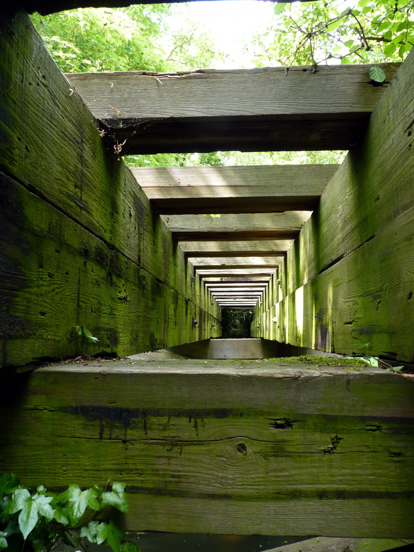 timber viaduct viaduct essex free photo