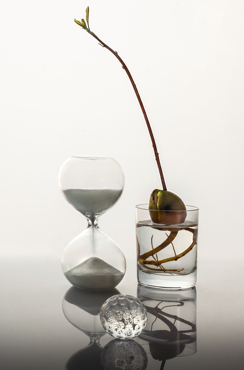 time glass sprout free photo