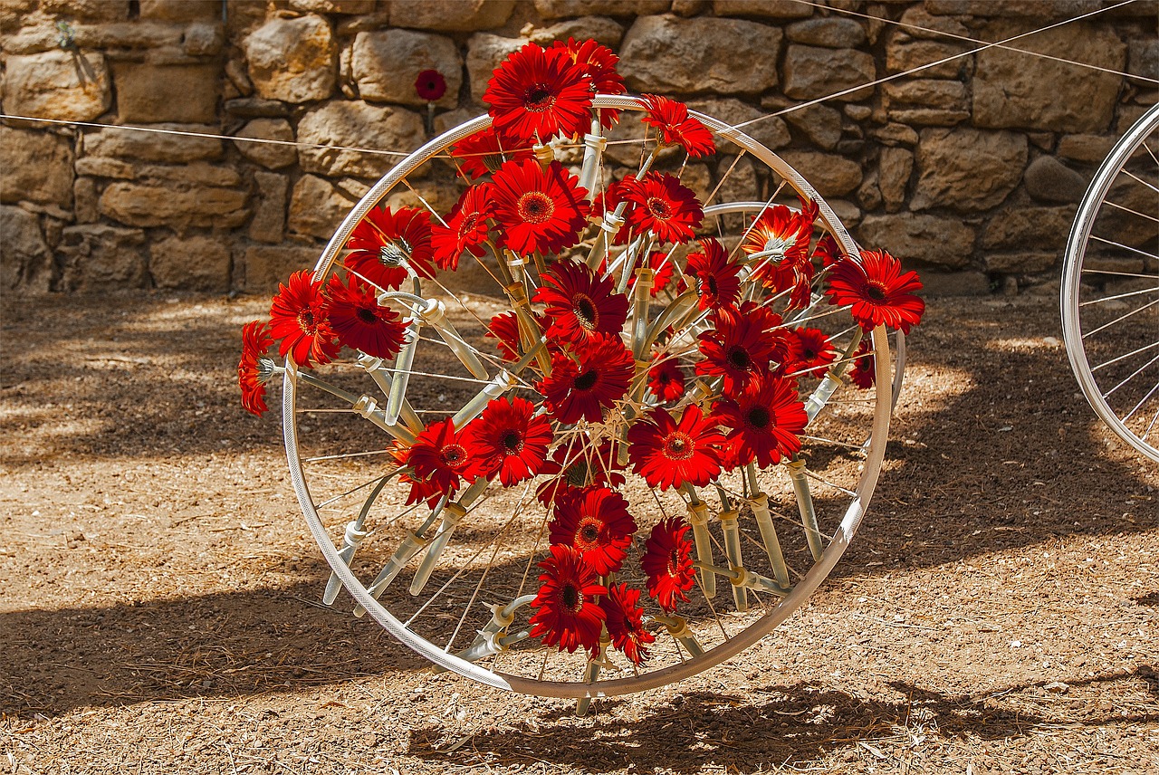 time of flowers gerona bicycle wheel free photo