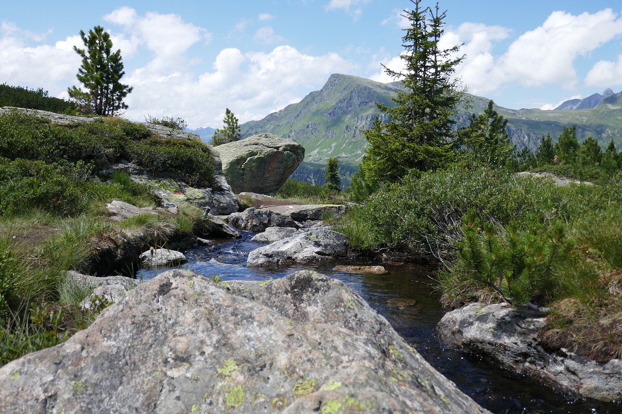 time out nature rest free photo