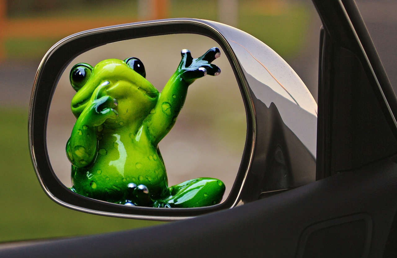 time to go frog farewell free photo