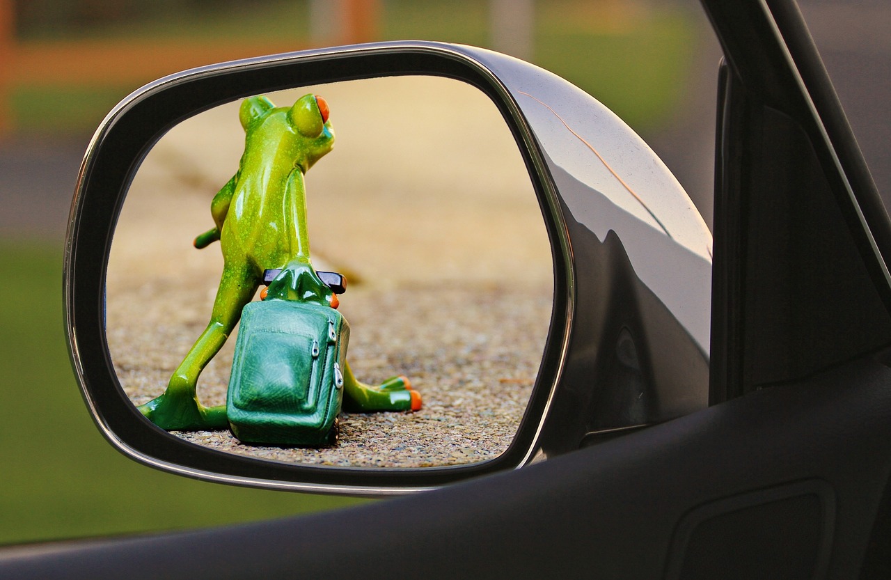 time to go frog farewell free photo